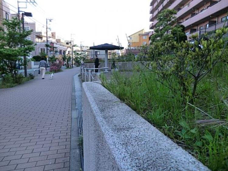 周辺 菊名駅前公園　240ｍ