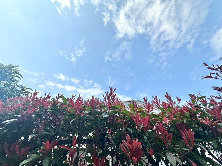 バルコニー 窓を開けると広がる青空。心をリフレッシュして日々を過ごしていきましょう。