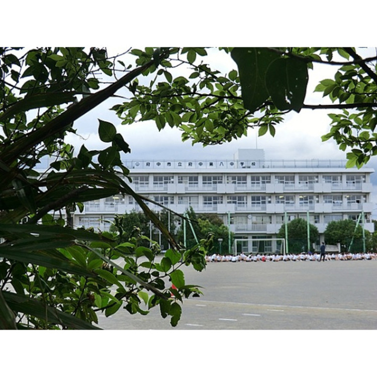 周辺 第八中学校(約1700m)