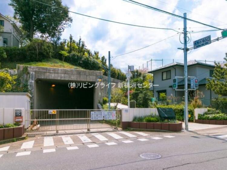 周辺 横浜市立秋葉中学校　1570ｍ