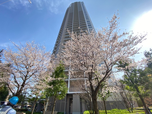 ルネッサンスタワー上野池之端の物件画像
