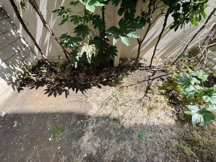 その他 太陽の光を存分に取り込むことのできる専用庭付き。。