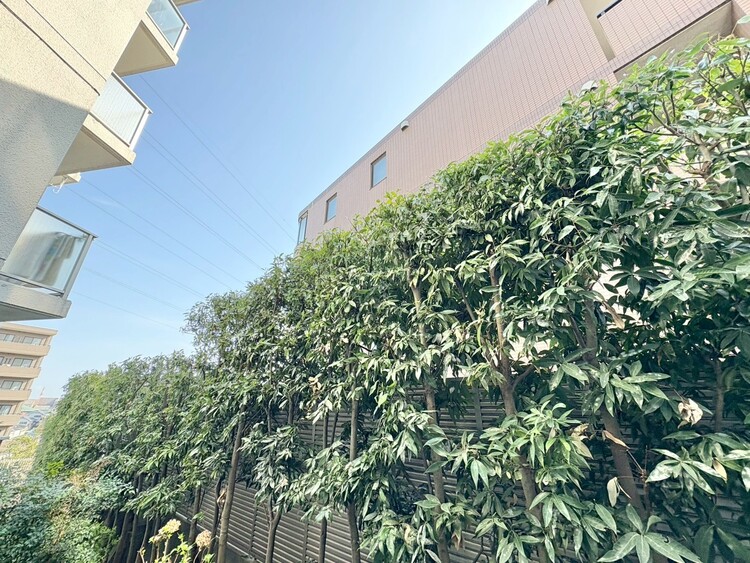 その他 陽当たり・通風・開放感に恵まれた環境です。