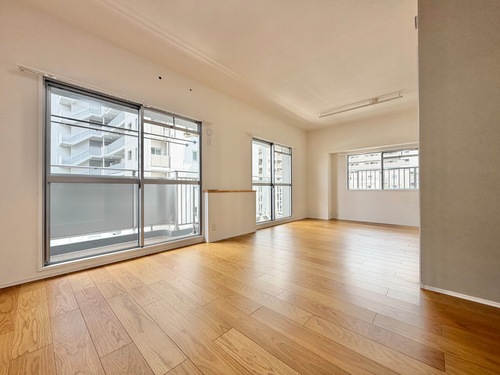 トーア辰巳マンションの物件画像