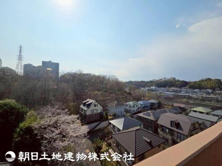 その他 【2026年3月撮影】