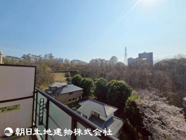 その他 【2026年3月撮影】