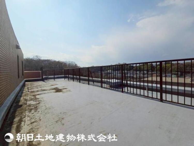 その他 【2026年3月撮影】