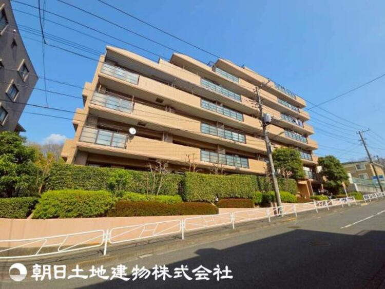 その他 【2026年3月撮影】