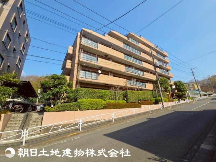 その他 【2026年3月撮影】