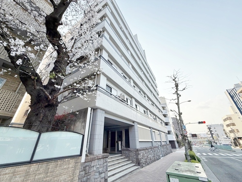 パシフィック豊玉マンションの物件画像