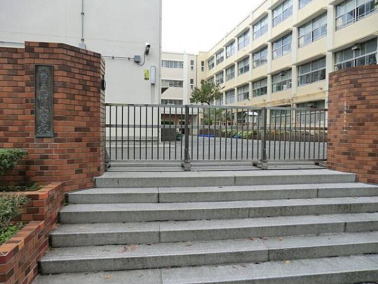 周辺 横浜市立駒岡小学校　780ｍ