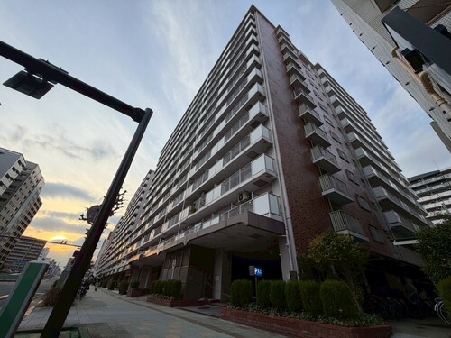 コープ野村亀戸西棟の画像