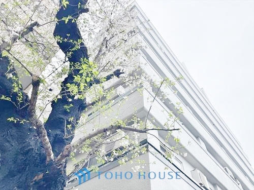 パシフィック豊玉マンションの物件画像