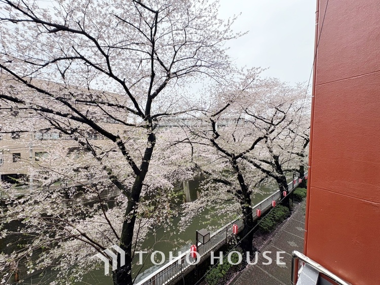 内装 【Quietness】プライベートなお部屋では静かに時を過ごしたい。読書をして、物思いにふける・・光りに満たされた安らぎの空間をがここにはあります。