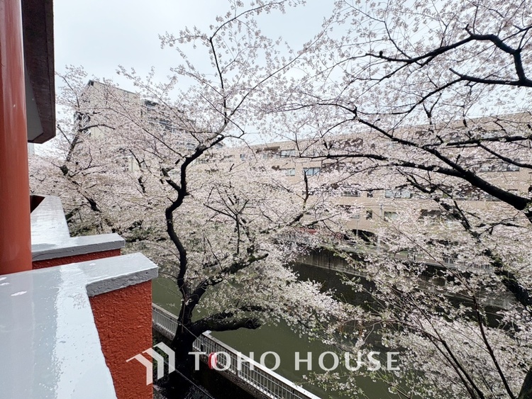 内装 【Ease】家族個々の安らぎの空間。プライベートなBedRoomは暮らす方の感性で造り上げたいもの。誰もが好みで飾れるシンプルな室内に仕上げてあります。