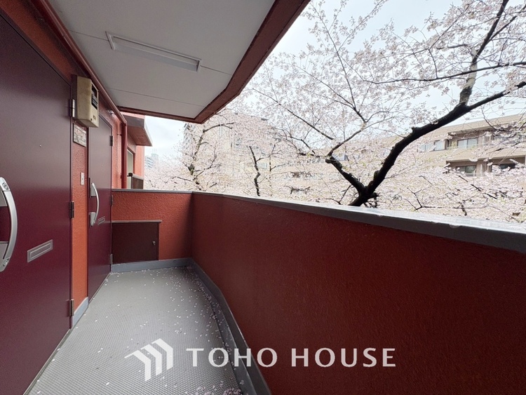 キッチン 【Kitchen】美しく使いやすいキッチンは油汚れが簡単に拭き取れる素材で加工されており、浄水器シャワーから流す水の音を軽減する静かなシンクを採用。見えないところにさり気ない配慮が嬉しい