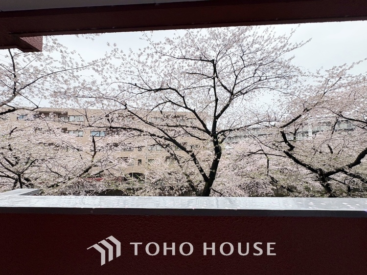 トイレ 【toilet】トイレットペーパーの使用回数を減らせることです。 シャワートイレを使用すれば、洗浄して汚れを落とすことができるため、トイレットペーパーの使用を最小限にとどめることができます。