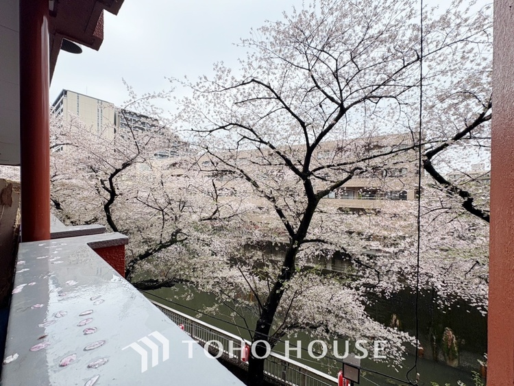 エントランス 【Entrance】仕事は好きだ。でも今日という一日はあまり芳しくない日もある。とぼとぼと家路に付く頃、ふと目を上げると我が家のエントランス。