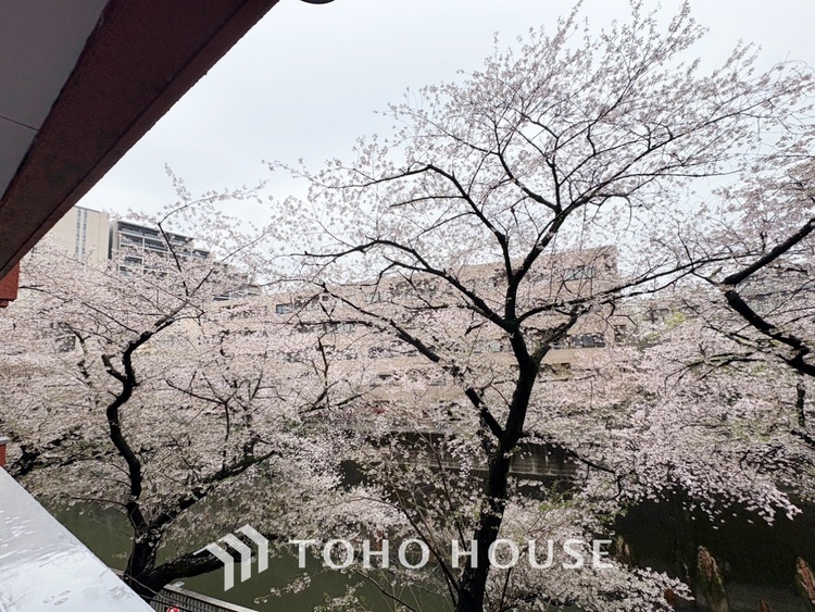 その他 ◆木漏れ日◆の様な採光が優しく足元を照らし、心地いい暮らしの道しるべを写し出す。この空間で過ごす家族との語らいの時間がとても素敵で幸せを感じるかもしれない。【Holiday of a home】