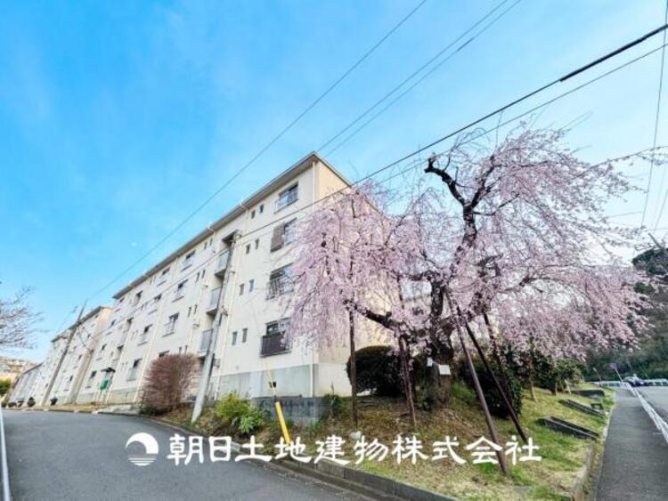 外観 【外観写真】時間のゆとりと空間、暖かな陽光がもたらす光と風を独占してください。