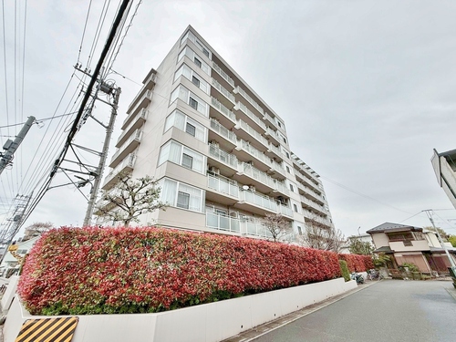 アミティ草加の物件画像