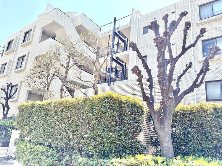 外観 【現地写真】