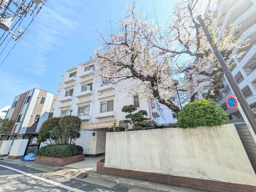 グレイス大島の物件画像