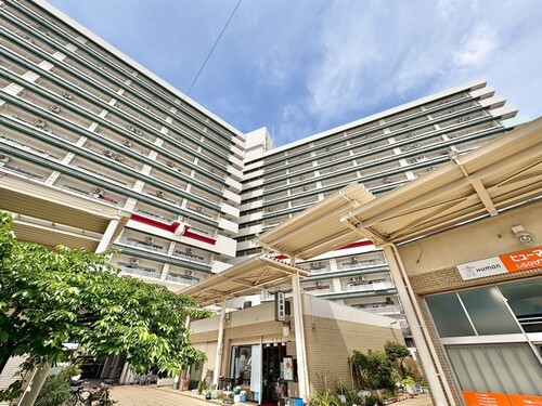 東白髭第二マンション１１号棟の物件画像