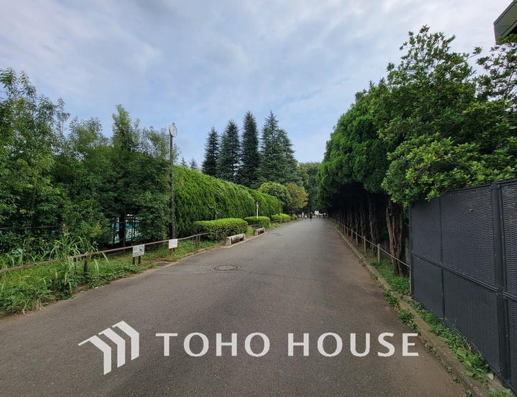 周辺 世田谷区立世田谷公園　距離750ｍ
