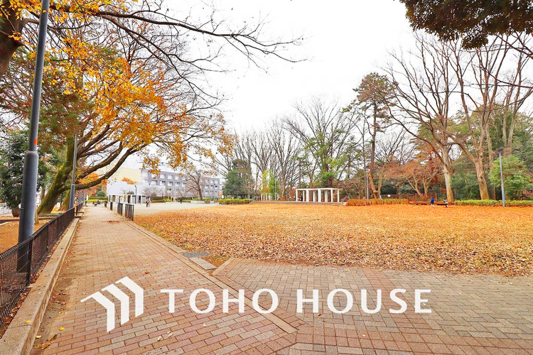 周辺 世田谷区立将軍池公園　距離700m