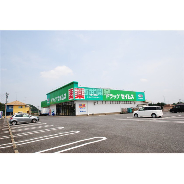 周辺 セイムス(約450m)