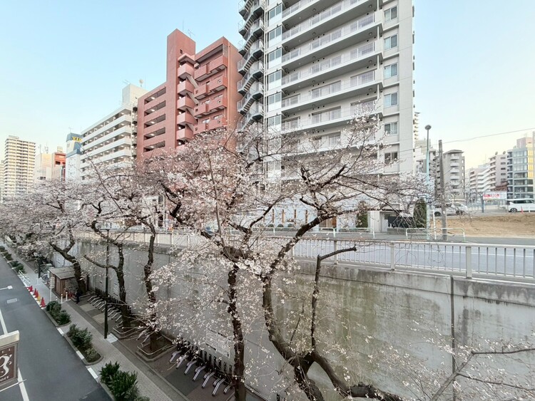 その他 陽当たり・通風・開放感に恵まれた環境です。
