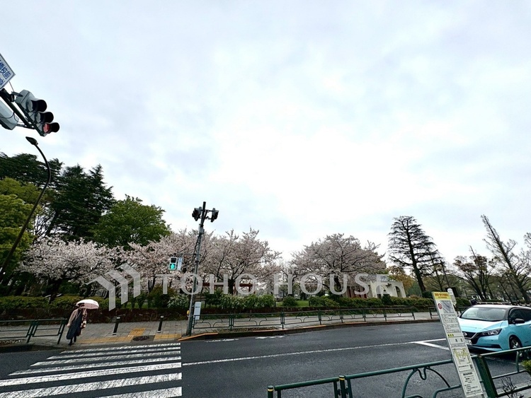 外観 【現地写真】