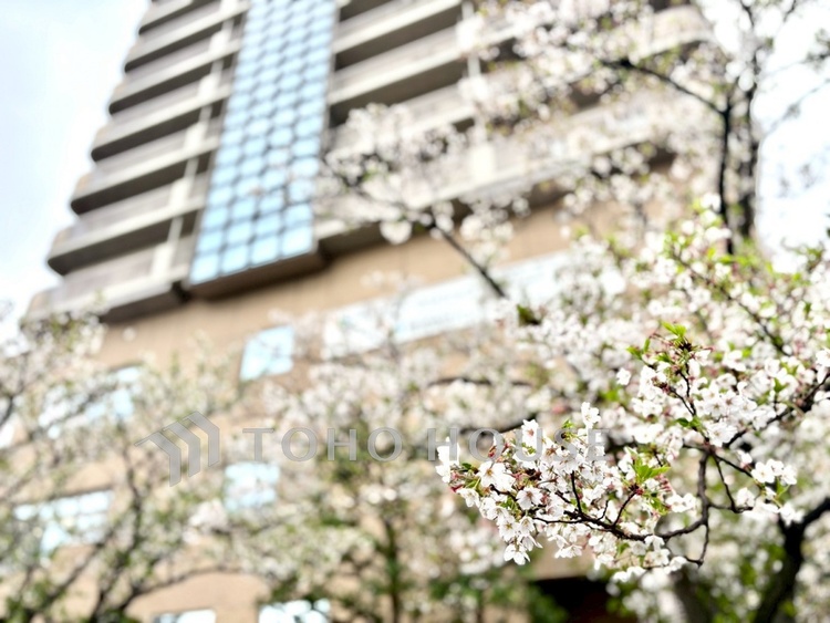 外観 【現地写真】