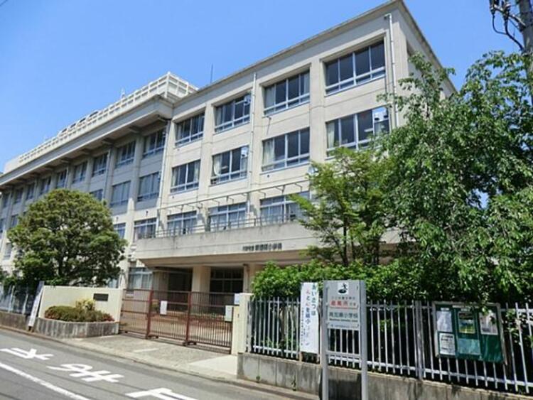 周辺 南加瀬小学校	650m