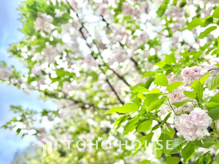 外観 【APPEARANCE】◆陽光◆が差し込む。この開放的な空間に家族の笑顔が集う。家族が一緒に過ごす空間は明るく、そして居心地よく。