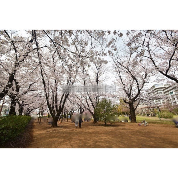 周辺 福岡中央公園(約500m)