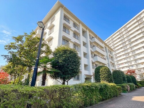 シティコープ清新１４号棟の物件画像