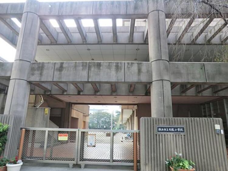 周辺 横浜市立日枝小学校まで約650ｍ