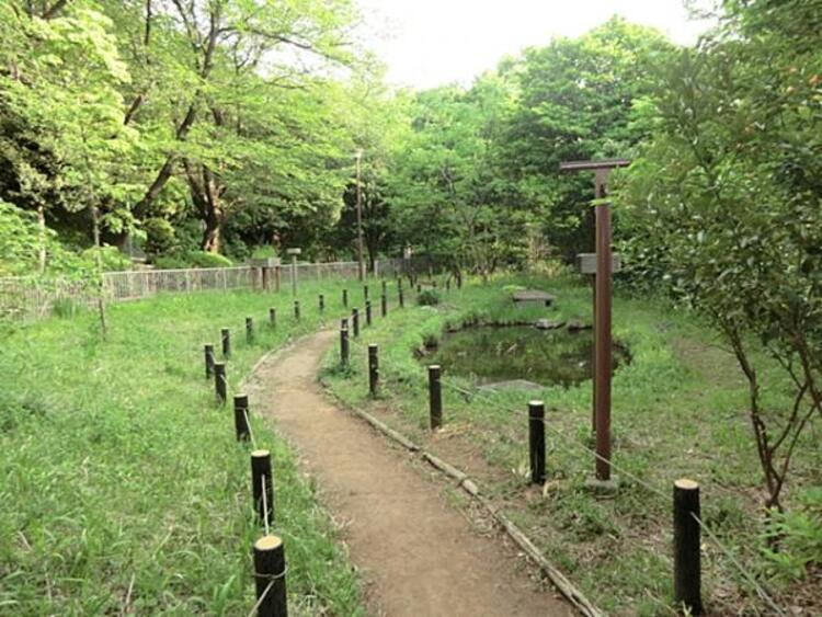 周辺 馬場町公園　800ｍ