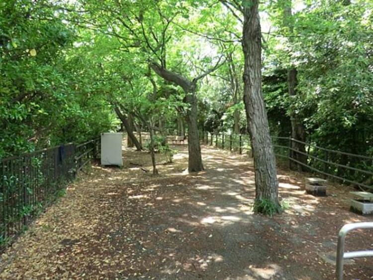 周辺 日吉の丘公園　450ｍ