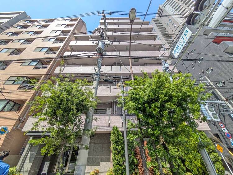 その他 忙しく過ぎゆく日常を置き去るほど、ゆったりした時間が流れる住環境。