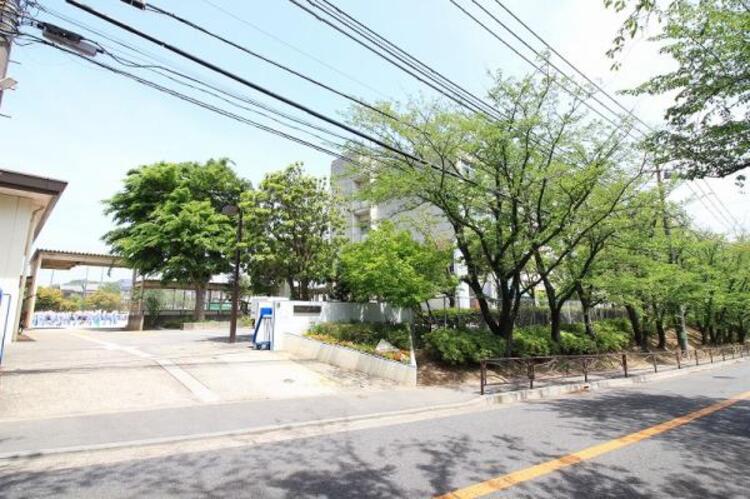 周辺 白鳥中学校まで約1885ｍ