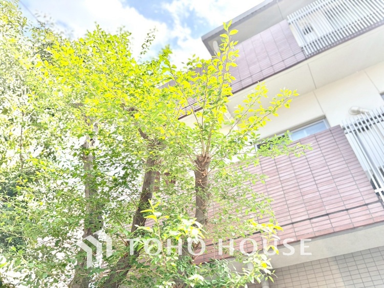 外観 【現地写真】