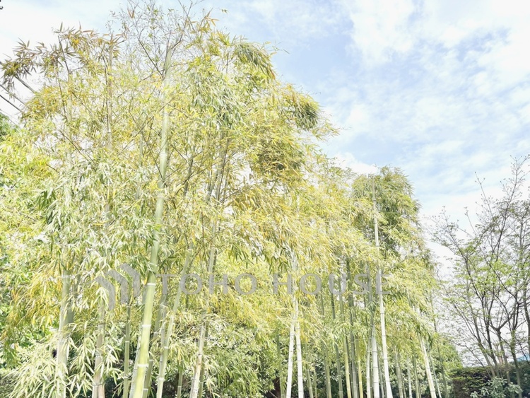 外観 【現地写真】