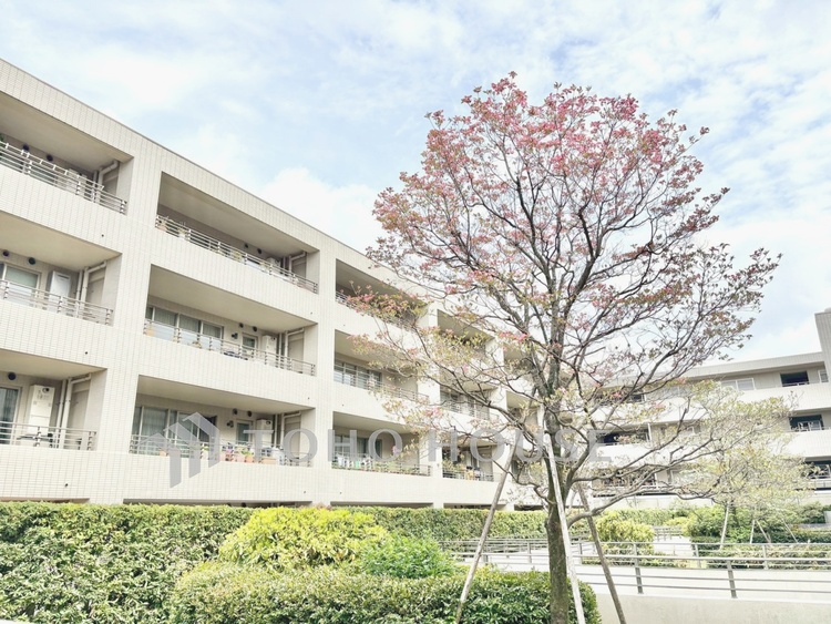 外観 【現地写真】