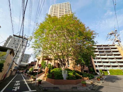 ヴィルヌーブタワー駒沢の物件画像