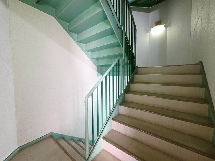 その他 共用部の階段です。明るく清潔に管理されています。