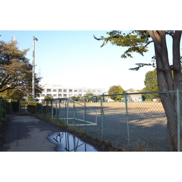 周辺 柏原小学校(約1700m)