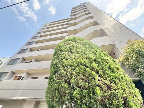 サンピア橋場の物件画像